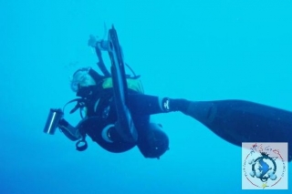 Plongee en Corse.jpg